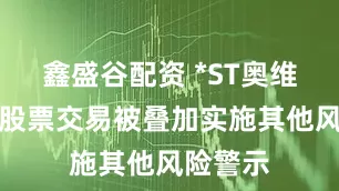 鑫盛谷配资 *ST奥维：公司股票交易被叠加实施其他风险警示
